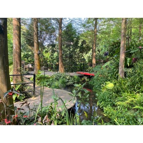 苗栗旅遊｜季節限定.幻紫薰衣草.純白油桐花.亮黃螢火蟲一日_24TWMLIFIT