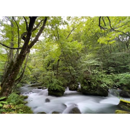 快閃東北小旅行(青仙)|全程溫泉‧全程無自理餐‧青森奧入瀨溪‧中尊寺金色堂‧猊鼻溪遊船‧牛舌風味餐‧AEON購物4日_SJP26AS402