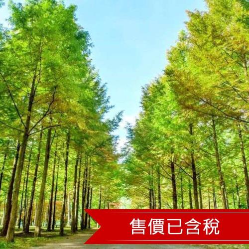 春遊促銷｜首爾賞櫻｜住明洞乙晚．環湖櫻花鐵道自行車．浪漫唯美南怡島．京畿道賞櫻名所．明洞_弘大自由逛五日_26JKAPRCI3