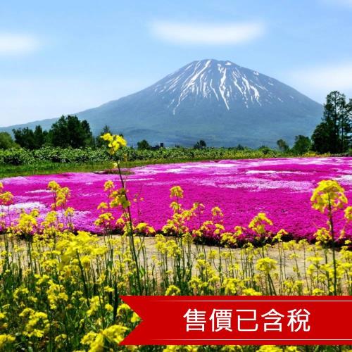 TTE旅展優惠價｜北海道最美櫻花.全程無自理餐.保住日航.函館夜景.加碼螃蟹吃到飽五日｜二晚溫泉_26ITHKDVV8