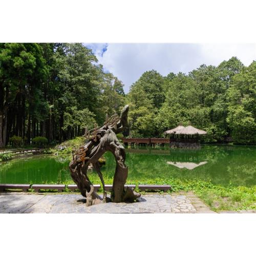 嘉義｜栩悅號『奮起湖➔阿里山』森林導覽列車.懷舊奮起湖老街.阿里山國家森林遊樂區二日｜高雄台南_27KHHCYI27