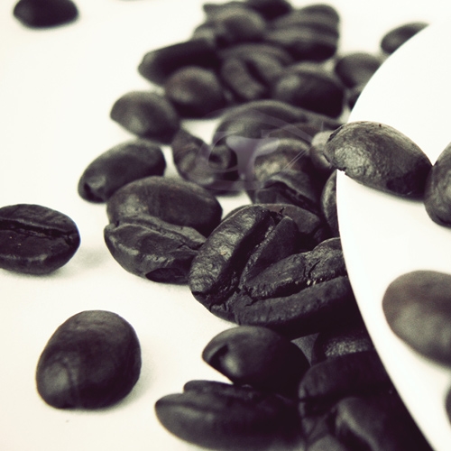 【Gustare caffe】精選衣索比亞-耶加雪夫咖啡豆(半磅)  