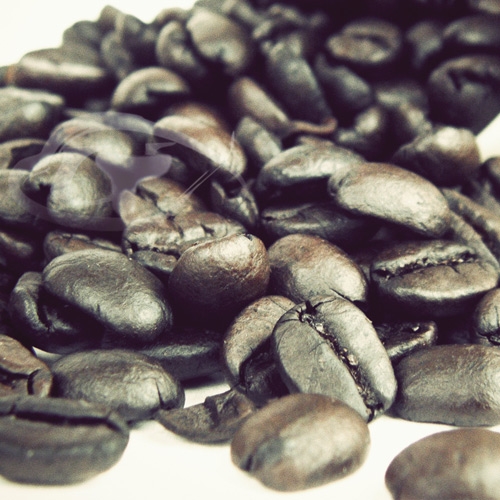 【Gustare caffe】精選西達摩咖啡豆(半磅)  