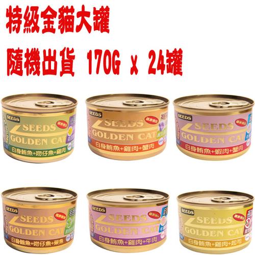 SEEDS惜時 特級金貓大罐-口味隨機出貨 170G x 24入