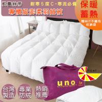 【凱蕾絲帝】台灣制造~專櫃級耐寒5℃100%純天然羽絨被-雙人6*7尺
