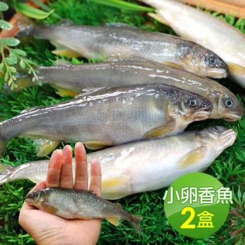 築地一番鮮 宜蘭帶卵小香魚2盒(16尾裝/1kg/盒)