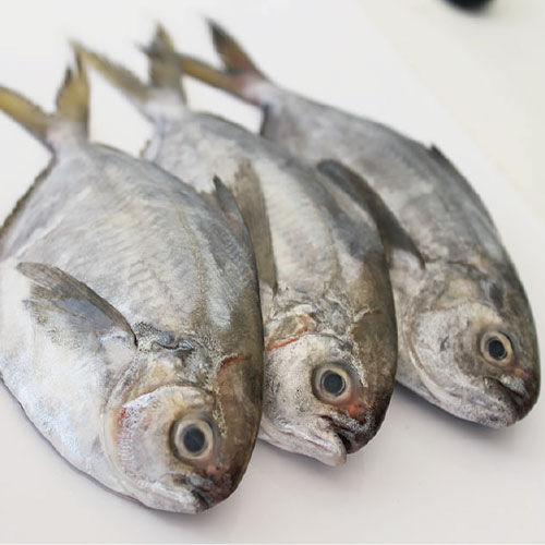 02推荐品牌2017 【宝岛福利站】超厚实～野生三去肉鲫鱼6尾(160g