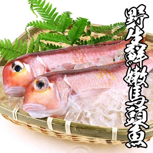 野生鮮嫩馬頭魚 4包組 一包2尾 一尾200g±10%