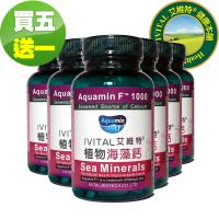 IVITAL艾維特®|海藻鈣1000毫克微甜可嚼錠(100錠)「買5送1瓶組」