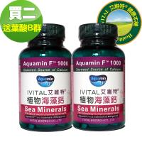IVITAL艾維特®|植物海藻鈣1000毫克微甜可嚼錠(100錠)「2瓶送葉酸+B群組」