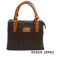 Diana Janes 經典LOGO輕巧多層兩用女包