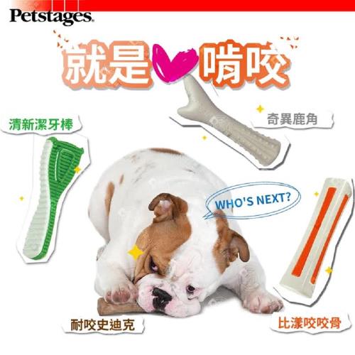 美國 Petstages》寵物迷你犬玩具啃咬系列任選2入 耐咬史迪克/奇異鹿角/比漾咬咬骨/清新潔牙棒