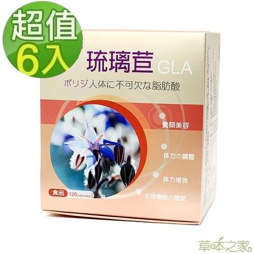 草本之家-琉璃苣油膠囊120粒X6盒 