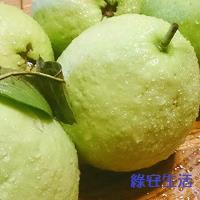 綠安生活 燕巢牛奶珍珠芭樂1盒(6斤/12-14粒/盒)