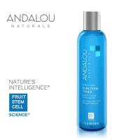 ANDALOU 安德魯 柳蘭毛孔緊緻化妝水 178ml