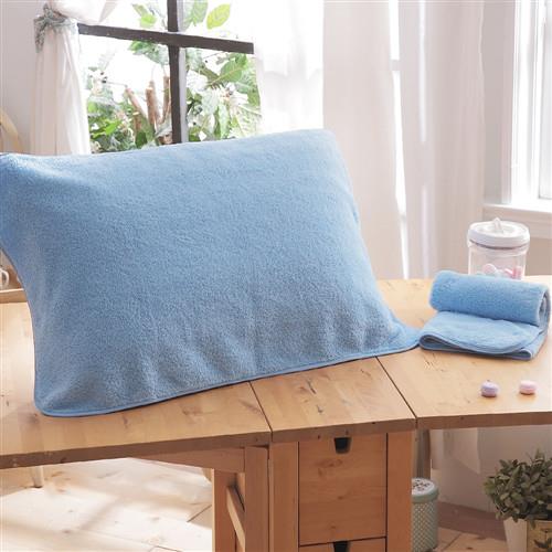 HO KANG 抗菌防蹣枕巾-藍色 2入