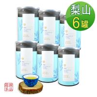 龍源茶品 梨山茶自然回甘烏龍茶葉6罐組(150g/罐)