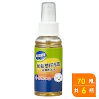 南僑水晶 葡萄柚籽噴霧乾洗手70ml X6 瓶