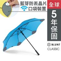 保蘭特 抗強風功能經典直傘-風格藍