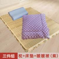 【米夢家居】台灣製造-冬夏兩用竹青純棉單人床墊+記憶枕+防蹣抗菌暖暖被(紫)外宿熱賣三件組