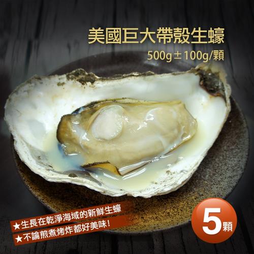 築地一番鮮-美國巨大帶殼生蠔5顆(約500g/顆)