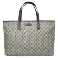 GUCCI 336776NICE 經典GG PLUS防水馬蹄鐵造型釦環三層手提包