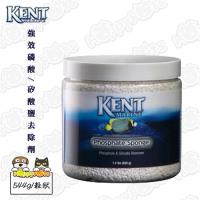 【KENT】強效磷酸/矽酸鹽去除劑544g(粒狀)