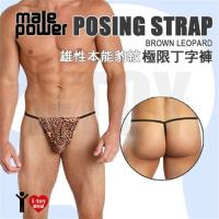 美國 Male Power 男性極限丁字褲 LEOPARD POSING STRAP