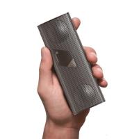 soundmatters foxL v2 apt-X platinum 白金銀