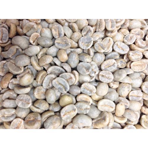 咖啡豆精品莊園 巴拿馬邦奎SHB(咖啡生豆)