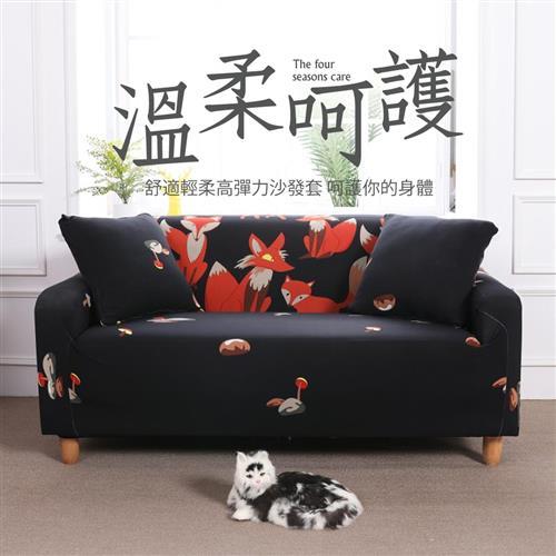 生活家飾-狸小路棉柔彈性沙發套2人座