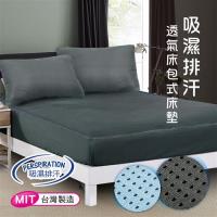 CERES 席瑞絲 吸濕排汗專利 3D透氣 單人床包組2件套(兩色)-型(網)
