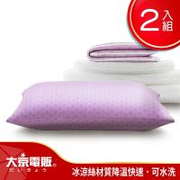 日本大京電販 4D防螨涼感枕超值2入組