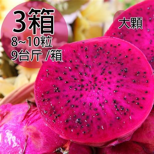 一等鮮 紅肉火龍果原裝箱3箱8~10粒/9台斤/箱