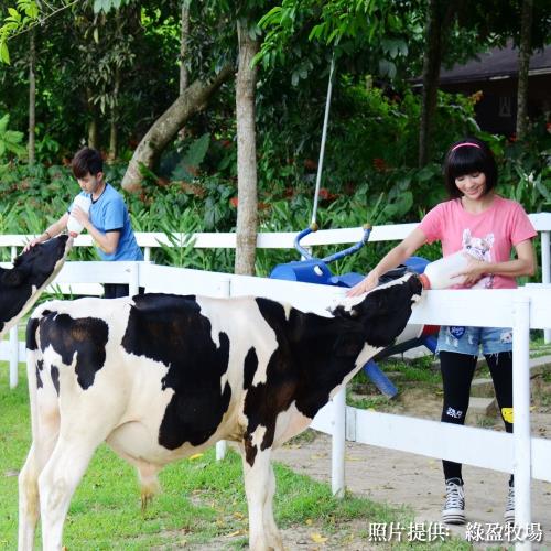 嘉義 蘭桂坊1泊1食綠盈美雅-雙人平日(平日升等四人房)