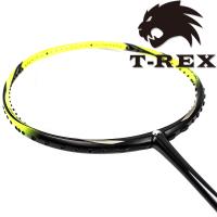 T-REX 雷克斯 - 消光型碳纖維羽球拍 YS- BS-黃黑