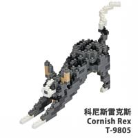 【Tico微型積木】科尼斯雷克斯Cornish Rex T-9805