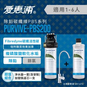 EVERPURE 愛惠浦 公司貨 PURVIVE-PBS200精選超值組