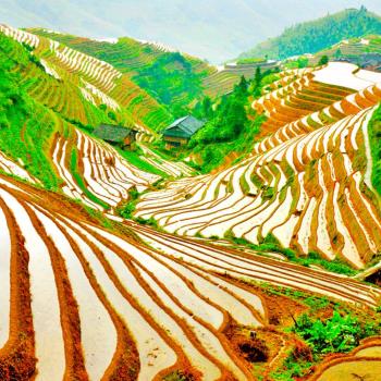 桂林龍脊梯田印象劉三姐大唐灣灕江精華遊6日(無購物)旅遊
