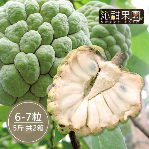 [沁甜果園SSN]台東大目釋迦6-7顆裝/5台斤(共2箱)