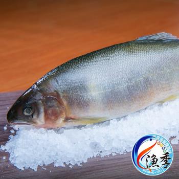 漁季嚴選宜蘭公香魚1盒(900g±10%)