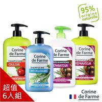 法國黎之芙植萃修護洗髮乳750ml六入組(白茶抗屑/乳木果油修護/蔓越莓護色/乳木果橄欖潤髮乳)