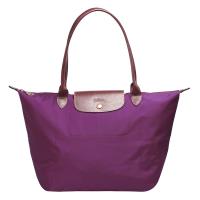 LONGCHAMP 經典 Le Pliage系列摺疊長把水餃包(大-大麗花色)
