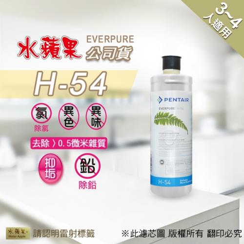 EVERPURE水蘋果 H54 淨水濾心