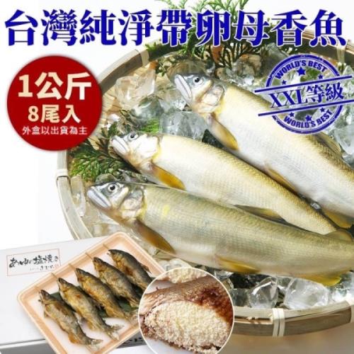 海肉管家-台灣宜蘭XXL帶卵母香魚x3盒(每盒8尾/約1kg±10%含盒重)