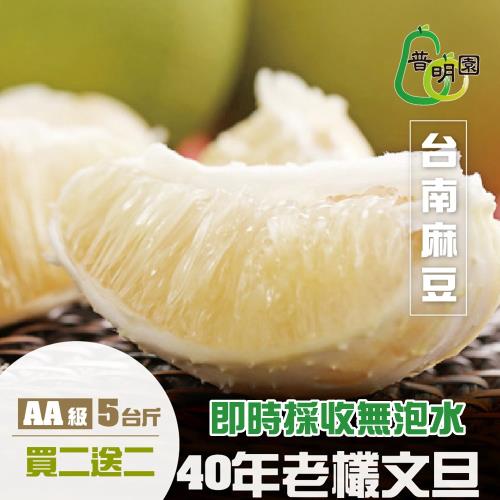 預購-買二送二[普明園]AA級台南麻豆40年老欉文旦(5台斤/箱)