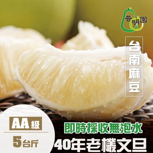 預購-[普明園]AA級台南麻豆40年老欉文旦(5台斤/箱)