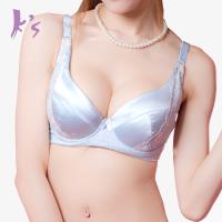 Ks凱恩絲 絲光緞面專利蠶絲機能爆乳內衣C-E杯 藍色 (M03)