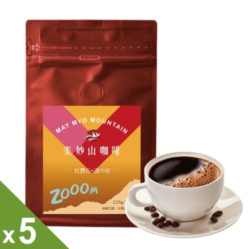 【美妙山】兩千高海拔淺中焙咖啡原豆5包(225g/包)