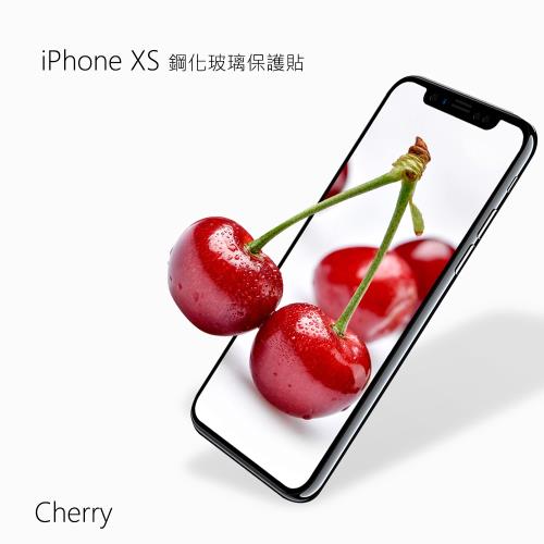 iPhone XS 滿版鋼化玻璃保護貼